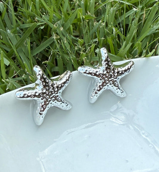 Silver Starfish