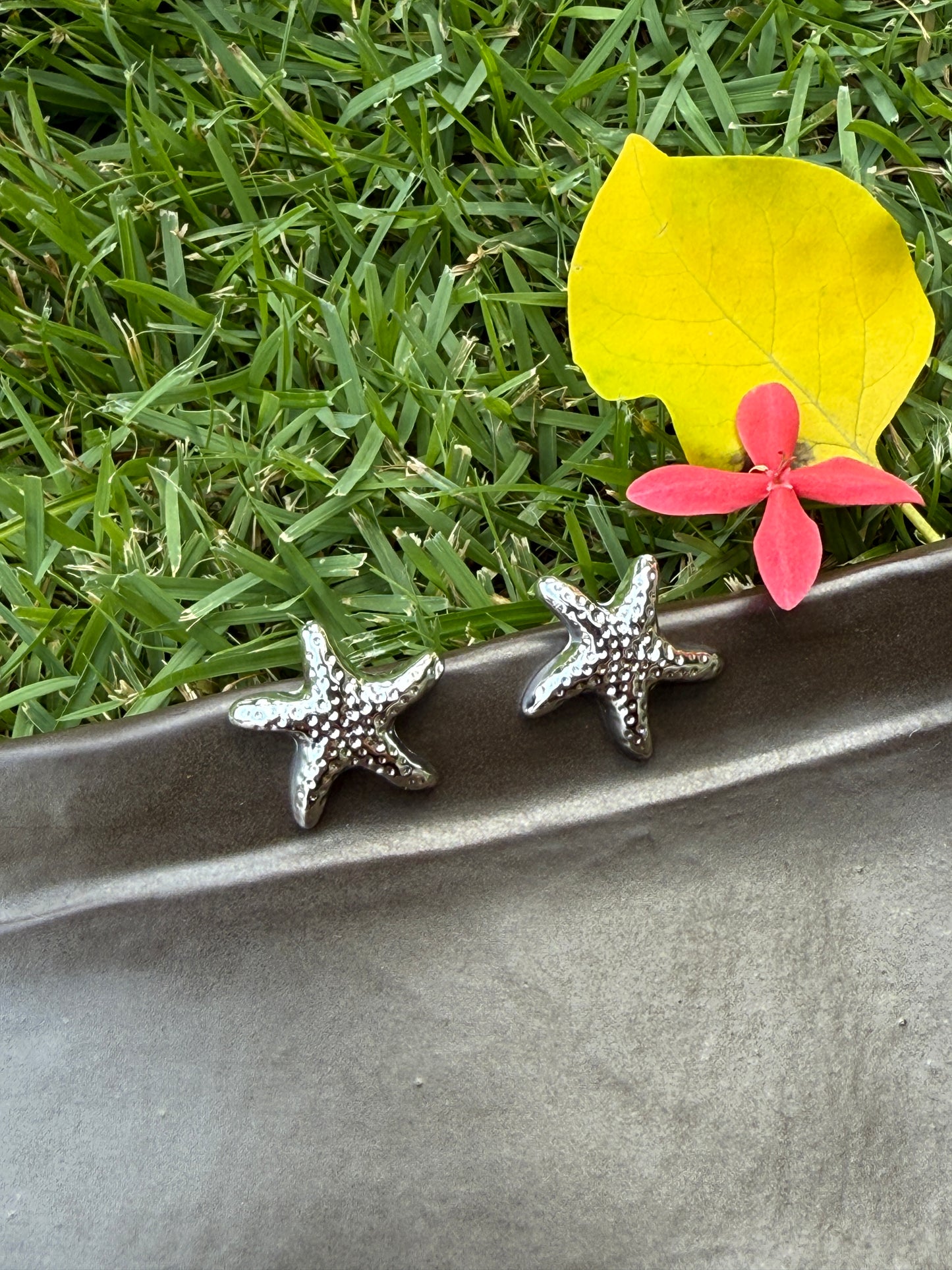 Silver Starfish