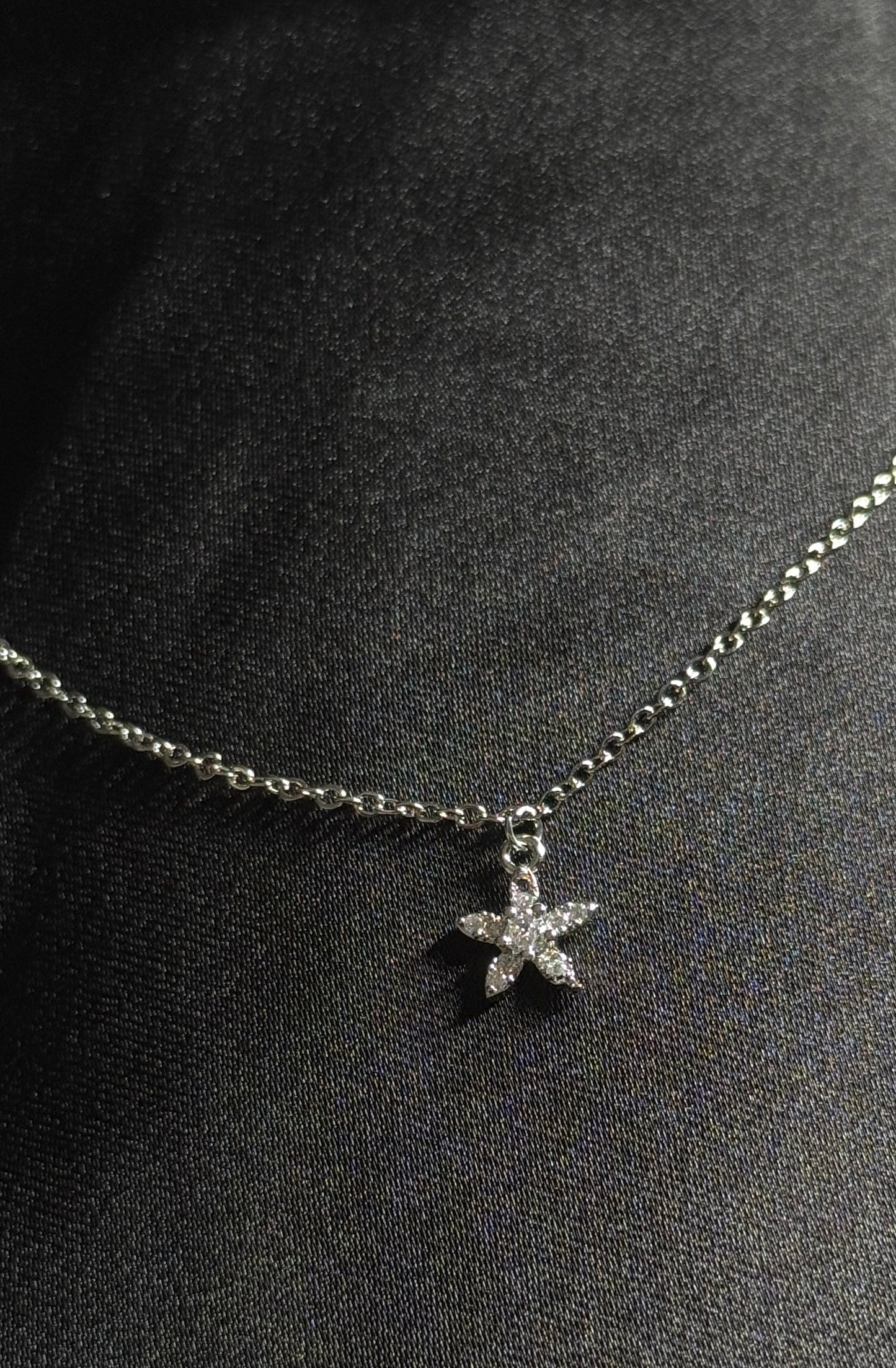 Silver Star