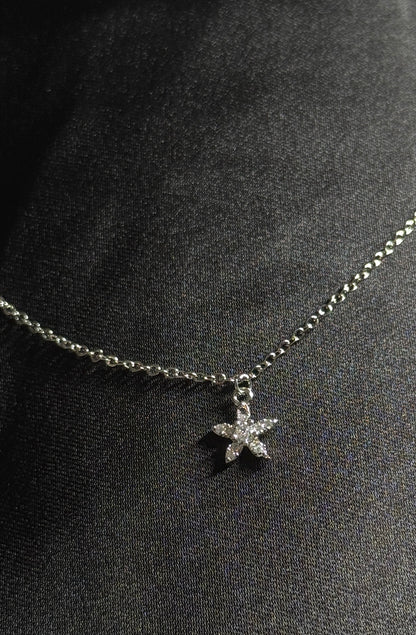 Silver Star