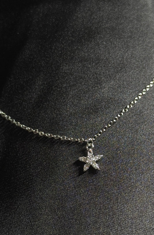 Silver Star