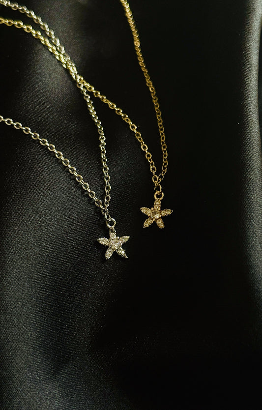 Star Combo