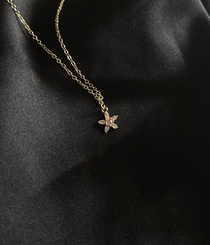 Silver Star